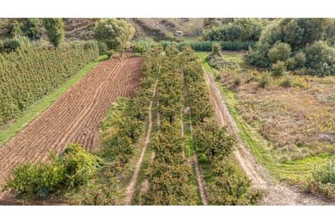 Helårsgrund i Alcobaca, Leiria, Alcobaca - € 10.000 | Ref: 098/2022.PA - foto 3