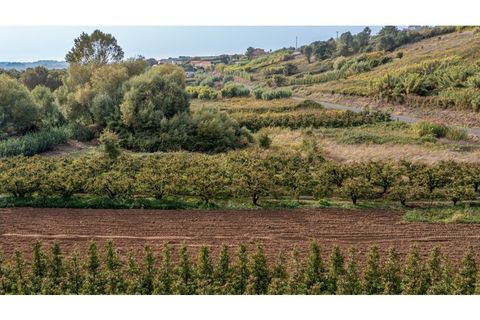 Helårsgrund i Alcobaca, Leiria, Alcobaca - € 10.000 | Ref: 098/2022.PA - foto 4