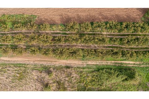 Helårsgrund i Alcobaca, Leiria, Alcobaca - € 10.000 | Ref: 098/2022.PA - foto 5
