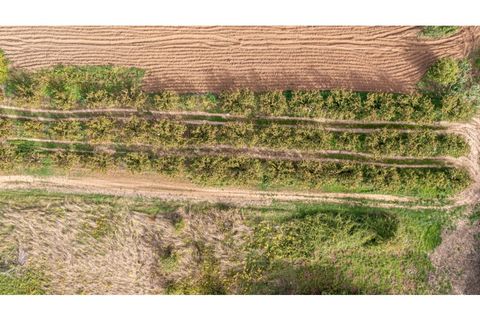 Helårsgrund i Alcobaca, Leiria, Alcobaca - € 10.000 | Ref: 098/2022.PA - foto 7