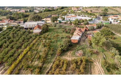 Helårsgrund i Alcobaca, Leiria, Alcobaca - € 70.000 | Ref: 097/2022.PA - foto 2