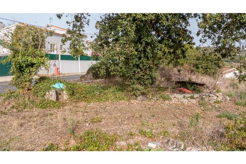 Helårsgrund i Alcobaca, Leiria, Alcobaca - € 70.000 | Ref: 097/2022.PA - foto 5