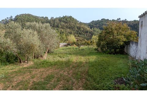 Helårsgrund i Alcobaca, Leiria, Alcobaca - € 70.000 | Ref: 097/2022.PA - foto 6