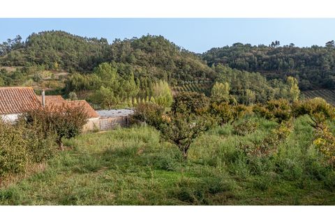 Helårsgrund i Alcobaca, Leiria, Alcobaca - € 70.000 | Ref: 097/2022.PA - foto 8