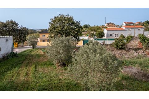 Helårsgrund i Alcobaca, Leiria, Alcobaca - € 70.000 | Ref: 097/2022.PA - foto 12