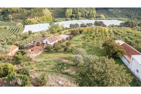 Helårsgrund i Alcobaca, Leiria, Alcobaca - € 70.000 | Ref: 097/2022.PA - foto 14
