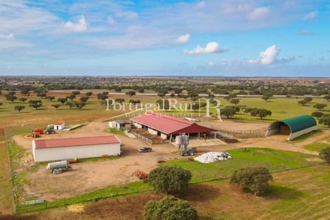 Landejendom i Beja, Beja, Beja - € 8.990.000 | Ref: 140-2 - foto 10