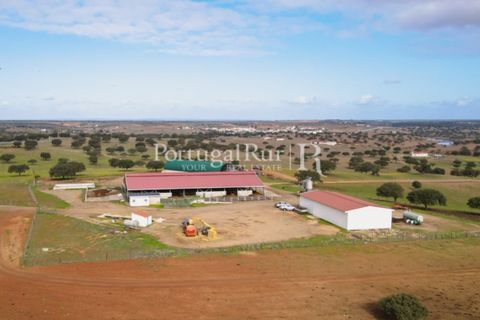Landejendom i Beja, Beja, Beja - € 8.990.000 | Ref: 140-2 - foto 12