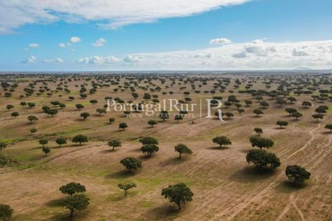Landejendom i Beja, Beja, Beja - € 8.990.000 | Ref: 140-2 - foto 13
