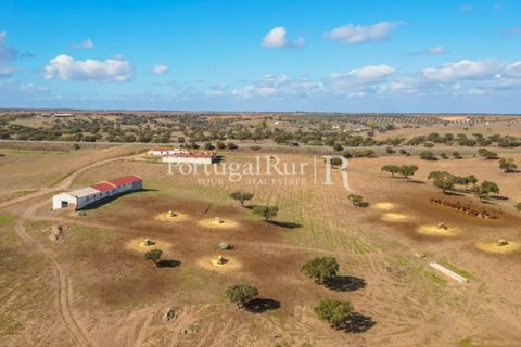 Landejendom i Beja, Beja, Beja - € 8.990.000 | Ref: 140-2 - foto 14
