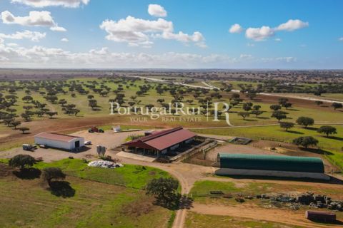 Landejendom i Beja, Beja, Beja - € 8.990.000 | Ref: 140-2 - foto 15