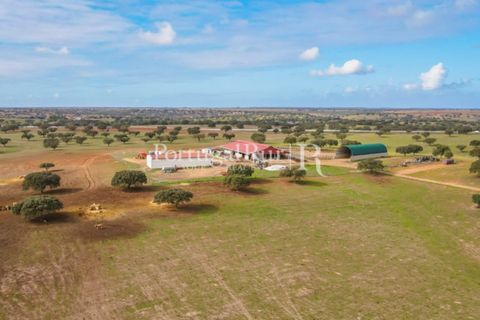Landejendom i Beja, Beja, Beja - € 8.990.000 | Ref: 140-2 - foto 16