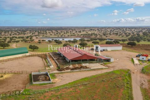 Landejendom i Beja, Beja, Beja - € 8.990.000 | Ref: 140-2 - foto 17