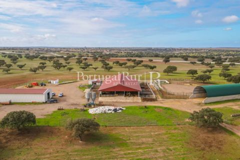 Landejendom i Beja, Beja, Beja - € 8.990.000 | Ref: 140-2 - foto 18