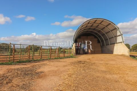 Landejendom i Beja, Beja, Beja - € 8.990.000 | Ref: 140-2 - foto 23