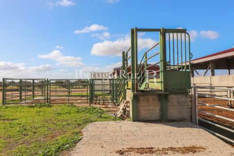 Landejendom i Beja, Beja, Beja - € 8.990.000 | Ref: 140-2 - foto 26