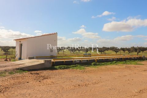 Landejendom i Beja, Beja, Beja - € 8.990.000 | Ref: 140-2 - foto 27