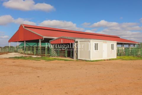 Landejendom i Beja, Beja, Beja - € 8.990.000 | Ref: 140-2 - foto 28