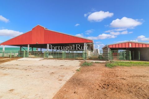 Landejendom i Beja, Beja, Beja - € 8.990.000 | Ref: 140-2 - foto 29