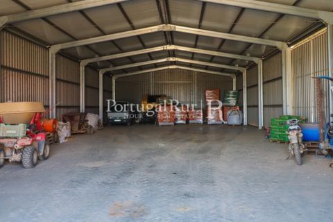 Landejendom i Beja, Beja, Beja - € 8.990.000 | Ref: 140-2 - foto 36