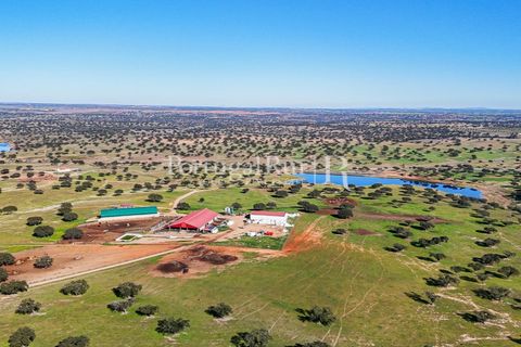 Landejendom i Beja, Beja, Beja - € 8.990.000 | Ref: 140-2 - foto 2