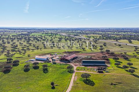 Landejendom i Beja, Beja, Beja - € 8.990.000 | Ref: 140-2 - foto 4