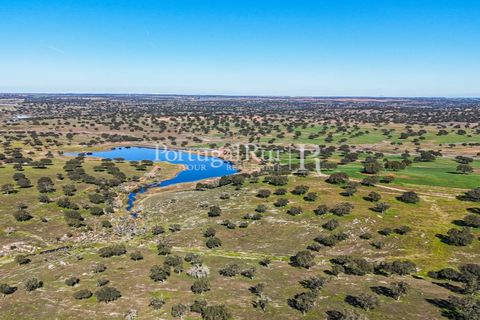 Landejendom i Beja, Beja, Beja - € 8.990.000 | Ref: 140-2 - foto 5