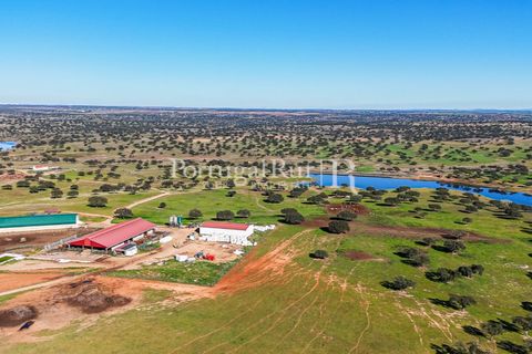 Landejendom i Beja, Beja, Beja - € 8.990.000 | Ref: 140-2 - foto 6