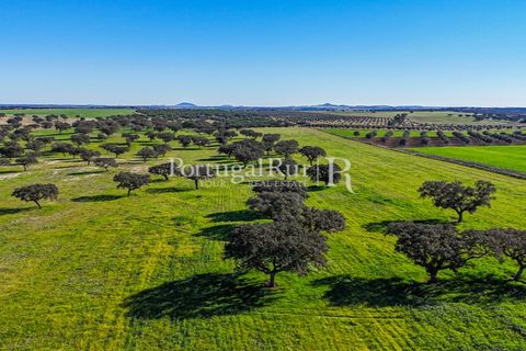 Landejendom i Beja, Beja, Beja - € 8.990.000 | Ref: 140-2 - foto 7