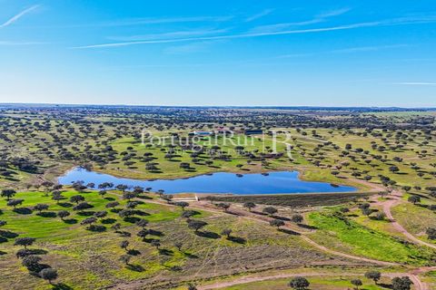 Landejendom i Beja, Beja, Beja - € 8.990.000 | Ref: 140-2 - foto 9