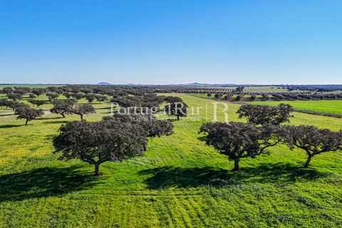 Landejendom i Beja, Beja, Beja - € 8.990.000 | Ref: 140-2 - foto 37