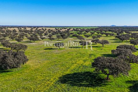 Landejendom i Beja, Beja, Beja - € 8.990.000 | Ref: 140-2 - foto 38