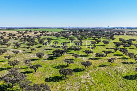 Landejendom i Beja, Beja, Beja - € 8.990.000 | Ref: 140-2 - foto 39