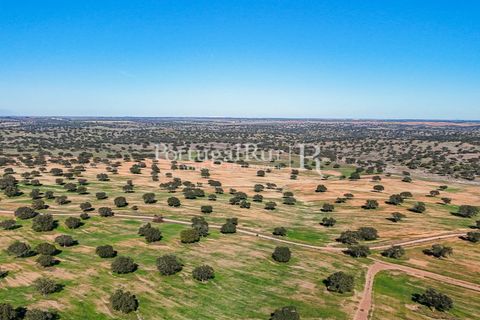 Landejendom i Beja, Beja, Beja - € 8.990.000 | Ref: 140-2 - foto 40