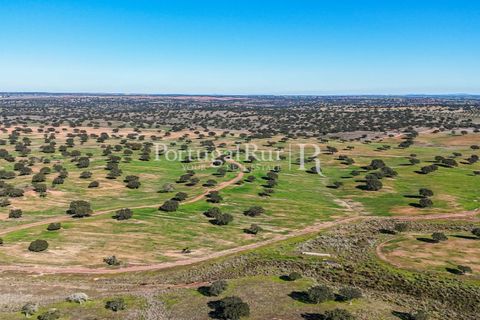 Landejendom i Beja, Beja, Beja - € 8.990.000 | Ref: 140-2 - foto 41