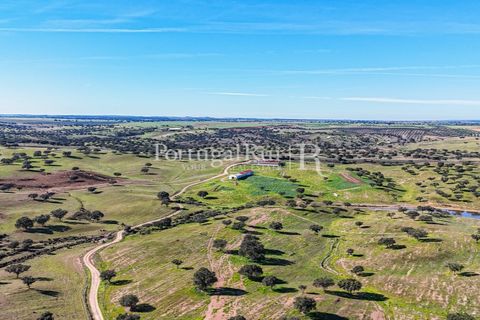 Landejendom i Beja, Beja, Beja - € 8.990.000 | Ref: 140-2 - foto 42