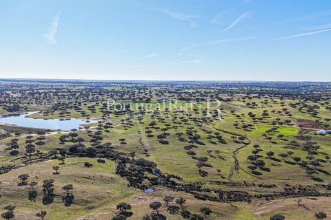 Landejendom i Beja, Beja, Beja - € 8.990.000 | Ref: 140-2 - foto 43