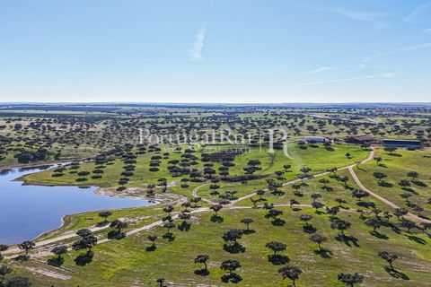 Landejendom i Beja, Beja, Beja - € 8.990.000 | Ref: 140-2 - foto 44