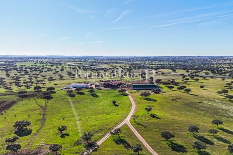 Landejendom i Beja, Beja, Beja - € 8.990.000 | Ref: 140-2 - foto 45