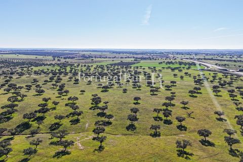 Landejendom i Beja, Beja, Beja - € 8.990.000 | Ref: 140-2 - foto 46