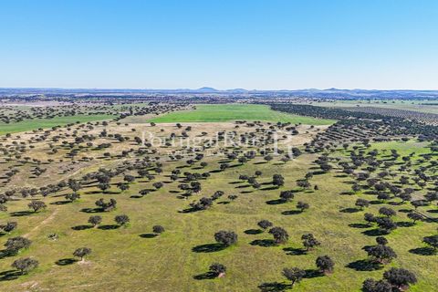 Landejendom i Beja, Beja, Beja - € 8.990.000 | Ref: 140-2 - foto 47