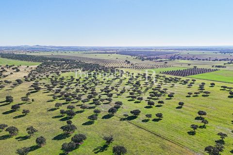 Landejendom i Beja, Beja, Beja - € 8.990.000 | Ref: 140-2 - foto 48