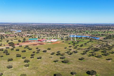 Landejendom i Beja, Beja, Beja - € 8.990.000 | Ref: 140-2 - foto 1