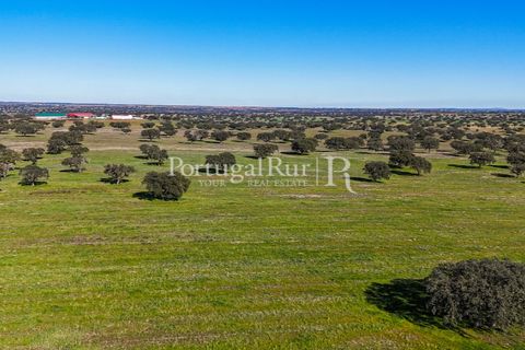 Landejendom i Beja, Beja, Beja - € 8.990.000 | Ref: 140-2 - foto 49