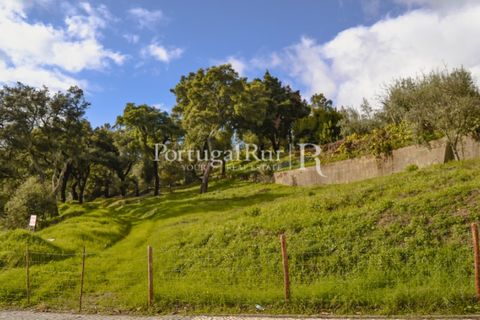 Terreno en Proenca-a-Nova, Castelo Branco, Proenca-a-Nova - € 65.000 | Ref: 661-2 - photo 1
