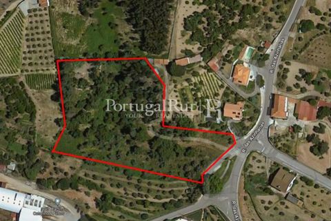 Terreno en Proenca-a-Nova, Castelo Branco, Proenca-a-Nova - € 65.000 | Ref: 661-2 - photo 2