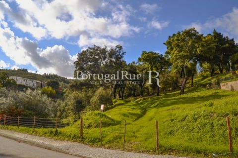 Terreno en Proenca-a-Nova, Castelo Branco, Proenca-a-Nova - € 65.000 | Ref: 661-2 - photo 3
