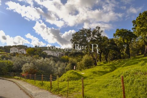 Terreno en Proenca-a-Nova, Castelo Branco, Proenca-a-Nova - € 65.000 | Ref: 661-2 - photo 4