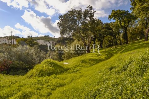 Terreno en Proenca-a-Nova, Castelo Branco, Proenca-a-Nova - € 65.000 | Ref: 661-2 - photo 5
