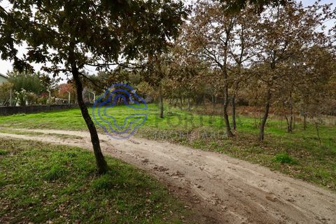 Terra a Baiao, Porto, Baiao - € 50.000 | Ref: 149561 - foto 2